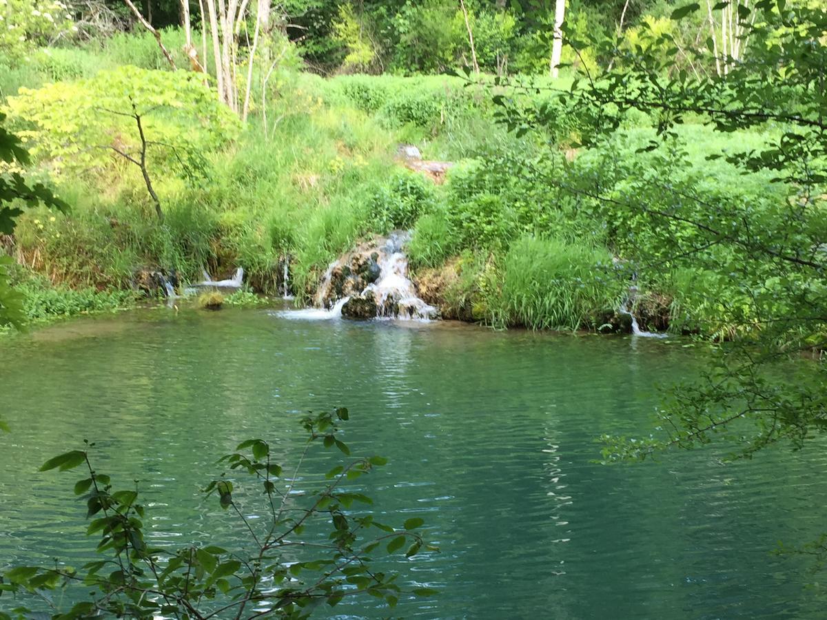 Gaestehaus Marion Dettingen an der Erms Bagian luar foto